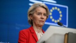 EU-Kommissionspräsidentin Ursula von der Leyen (Agenturfoto)