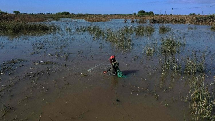 &Aacute;rad&aacute;sok Mozambikban