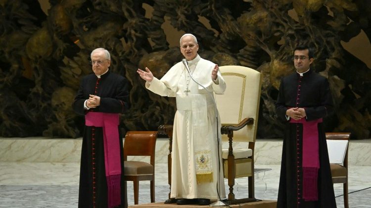 संत पापा लियो आमदर्शन समारोह में