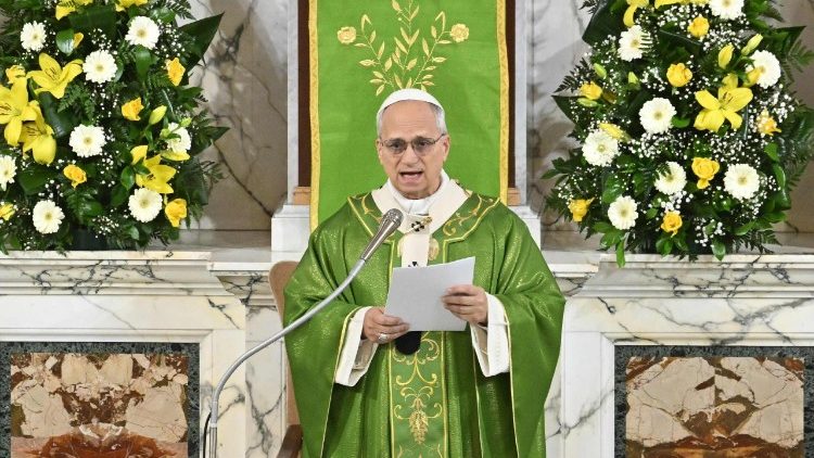 Papst Leo am 6. Sonntag im Jahreskreis 