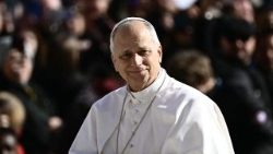 VATICAN-RELIGION-POPE-AUDIENCE