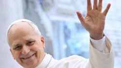 ಬುಧವಾರದ ಸಾಮಾನ್ಯ ಸಭೆಯಲ್ಲಿ ಜಗದ್ಗುರು XIVನೇ ಲಿಯೋರವರು