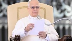 संत  पापा लियो आमदर्शन समारोह में