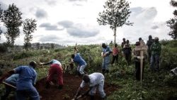 L’emergenza epidemica si inserisce in un quadro sanitario e umanitario già estremamente fragile nell’est della Repubblica Democratica del Congo