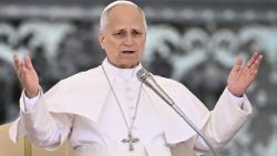 VATICAN-RELIGION-POPE-AUDIENCE
