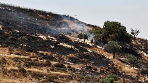 Taybeh, nuovo attacco dei coloni contro i residenti palestinesi