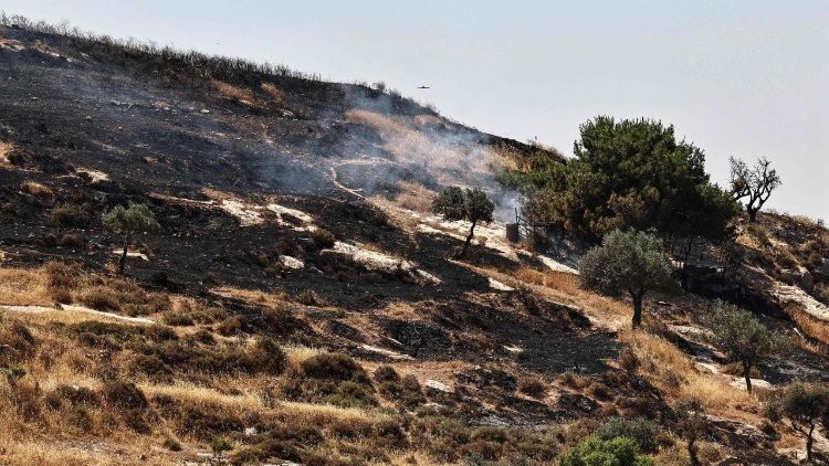 Terreni agricoli dati alle fiamme in Cisgiordania 