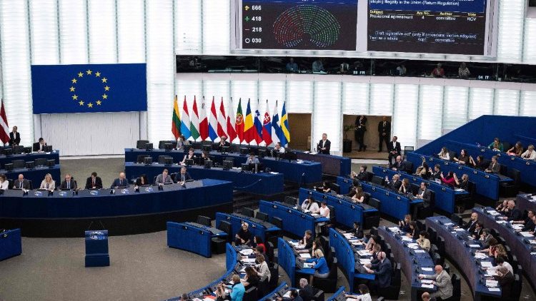 Das EU-Parlament hat endgültig grünes Licht für ein schärferes und schnelleres Vorgehen bei Abschiebungen gegeben