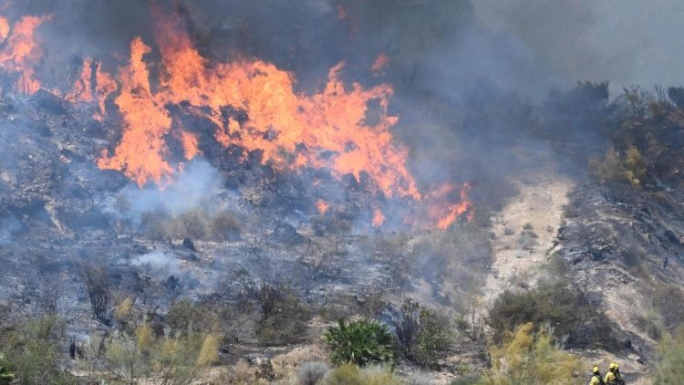 Bomberos del Plan Infoca (Servicio de Extinción de Incendios Forestales de Andalucía) trabajan para extinguir un incendio en la zona de un fuego forestal que causó la muerte de 11 personas cerca de Bédar, en el municipio de Los Gallardos, en la provincia de Almería, a 10 de julio de 2026.