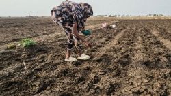 Ein sudanesischer Farmer sät Saatgut auf einem trockenen Acker aus