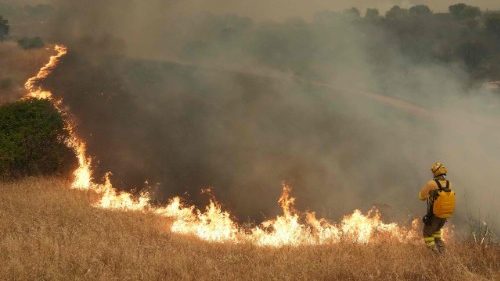 Incendi in Francia e Spagna, oltre 220mila evacuati