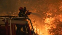 Waldbrände, die das Land verwüsten