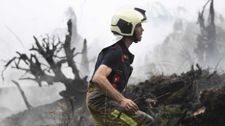 Rain started falling in Belgium on August 17, 2026 to help its fight against the country's biggest modern-day wildfire that has devastated some 3,000 hectares (7,500 acres) of the High Fens park on the border with Germany