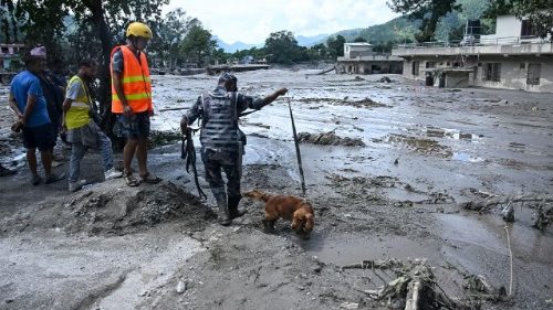 El dolor del Papa por las v&iacute;ctimas de la avalancha en Nepal 