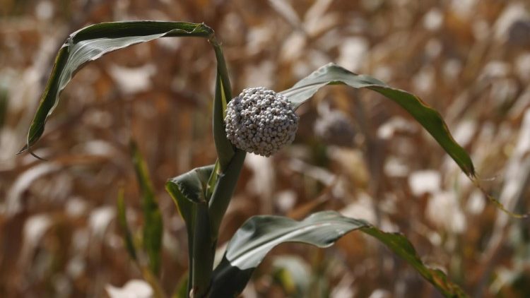 Ілюстрацыйнае фота