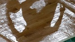 FILE PHOTO: The shadow of Boston Celtics guard Marcus Smart is seen on the parquet floor of the TD Garden
