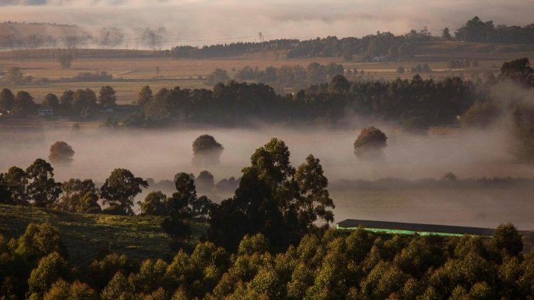 Sieben verstorben, sechs verletzt: Kapuziner trauern um Mitbrüder