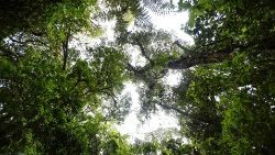 A Treviso prosegue il Forum di Greenaccord