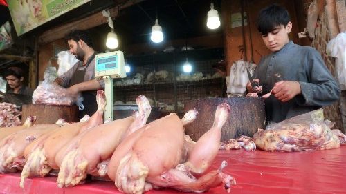 Papež protestuje proti dětské práci