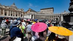 Papa Francesco all'Angelus