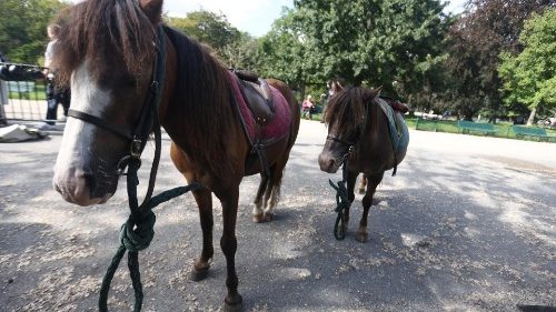 Unser Filmtipp: Zoe & Sturm