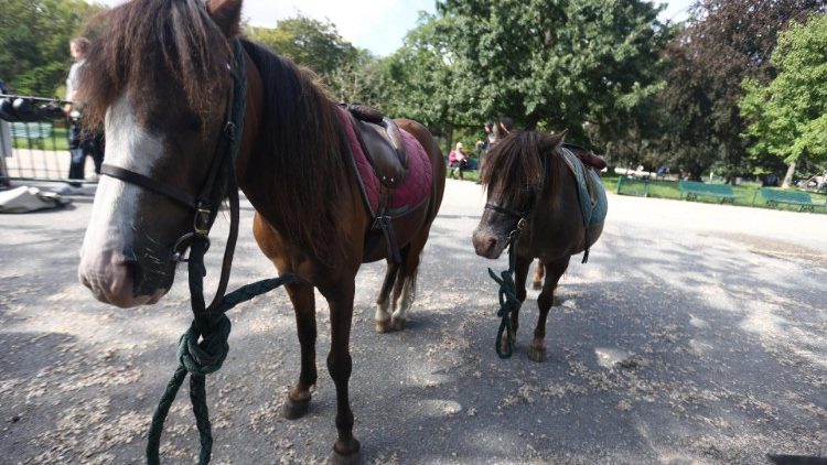 Unser Filmtipp für diese Woche