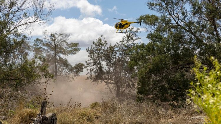 Decenas de muertos por los incendios es Hawái
