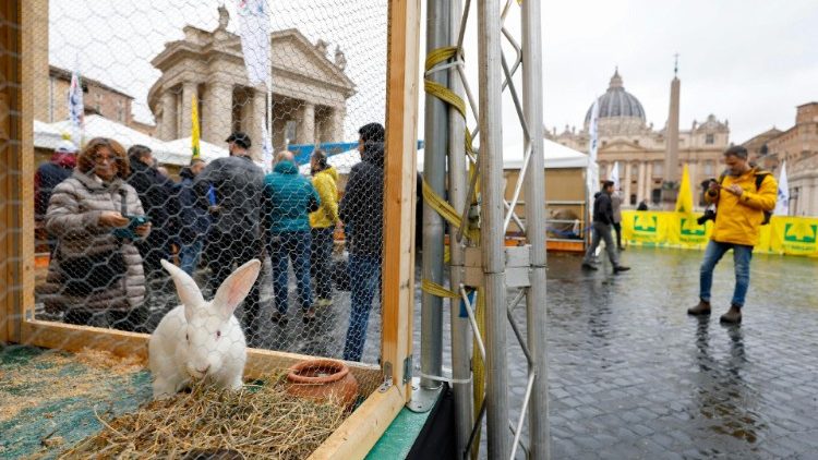 Tradicional bênção de Santo Antão na Praça São Pedro