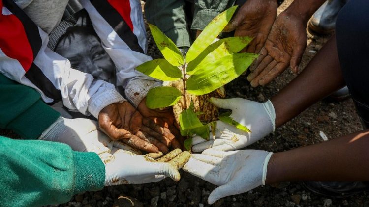 Ujenzi wa Ufalme wa Mungu: Mwanadamu anashirikishwa