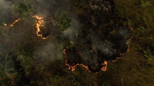 Brasile, la speranza bruciata dagli incendi in Amazzonia