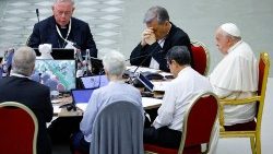 സിനഡ് സമ്മേളനത്തിൽ നിന്നും 