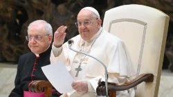 പൊതുകൂടിക്കാഴ്ചാസമ്മേളനത്തിൽ ഫ്രാൻസിസ് പാപ്പാ