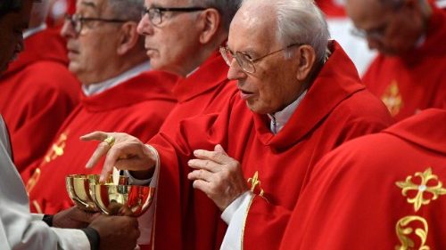 ഫ്രാൻസിസ് പാപ്പായുടെ രോഗ-മരണാവസ്ഥകളിൽ റോമേകിയ ഉപകാരങ്ങൾക്ക് നന്ദി പറഞ്ഞ് കർദ്ദിനാൾ റേ