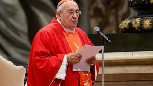 സേവനത്തിന്റെയും നേതൃത്വത്തിനെയും മാതൃകയാകാനുള്ള വിളിയാണ് പത്രോസിന്റെ പിൻഗാമിയുടേത്: കർദ്ദിനാൾ സാന്ദ്രി