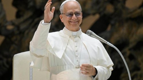 Léon XIV: «Les Papes passent, la Curie reste»