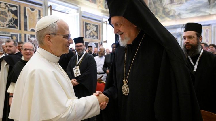 रोम में संत थॉमस अक्विनस परमधर्मपीठीय विश्वविद्यालय में आयोजित संगोष्ठी के प्रतिभागियों से मुलाकात करते पोप लियो 14वें