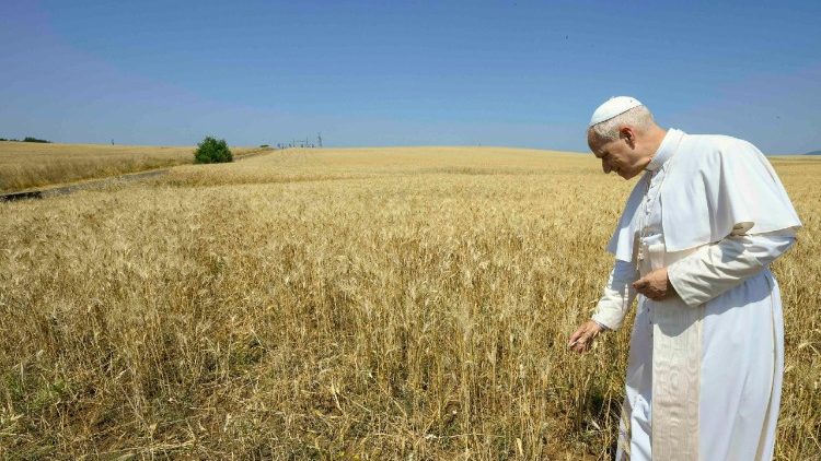 Papst im Kornfeld in Santa Maria di Galeria