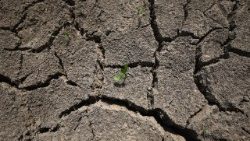 வறட்சியின் காட்சி