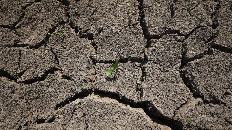 வறட்சியின் காட்சி