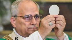 ലിയോ പതിനാലാമൻ പാപ്പാ 