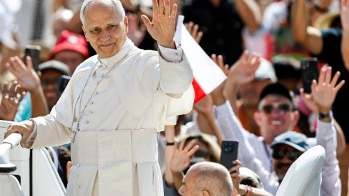 Audience générale: la grâce n'élimine pas notre liberté, mais la réveille