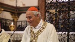 Кардынал Матэа Дзупі 