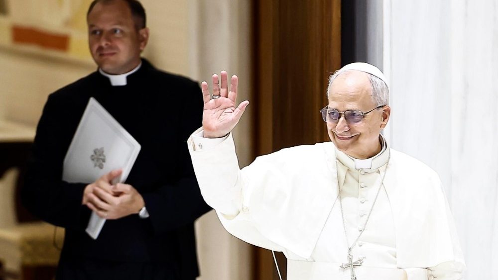 SCATTIDELGIORNO Il Papa, udienza in Aula, "ci proteggiamo dal caldo estremo"