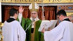 Pope Leo XIV celebrates mass in Albano Laziale, Italy