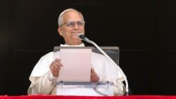 ലിയോ പതിനാലാമൻ പാപ്പാ ത്രികാലജപപ്രാർത്ഥന നയിക്കുന്നു