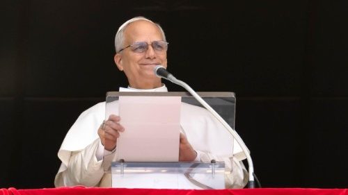 വാക്കുകളിലൂടെ മാത്രമല്ല, ജീവിതം കൊണ്ടും വിശ്വാസം പ്രഘോഷിക്കുക: ലിയോ പതിനാലാമൻ പാപ്പാ