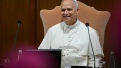 திருத்தந்தை பதினான்காம் லியோ 