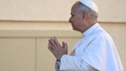 Popiežius Leonas XIV