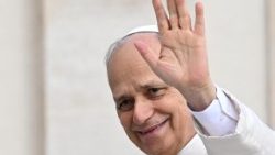 Il Papa, 'fedi condannino insieme l'abuso del nome di Dio'