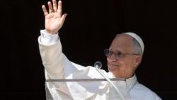 संत पापा लियो 14वें 